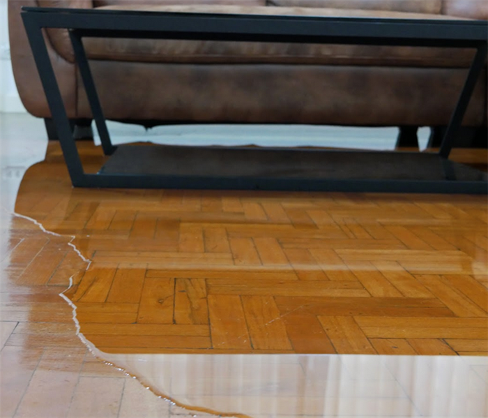 water in a puddle on the floor of a living room under a couch