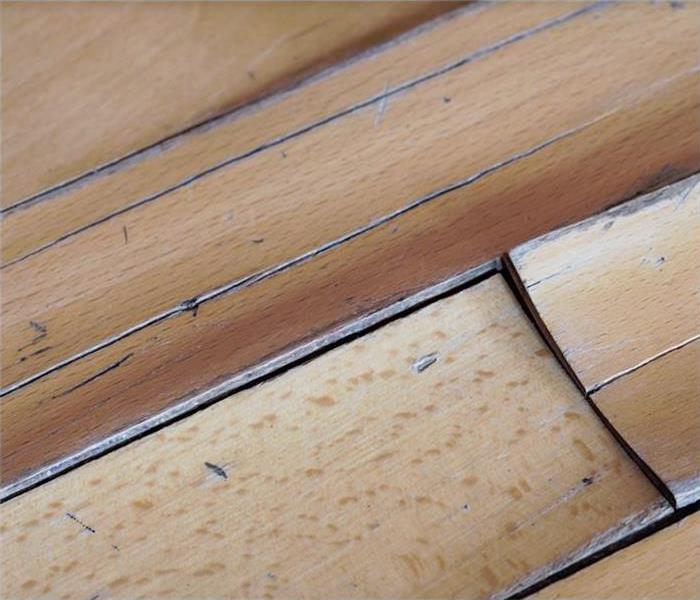 warped floor boards from water damage