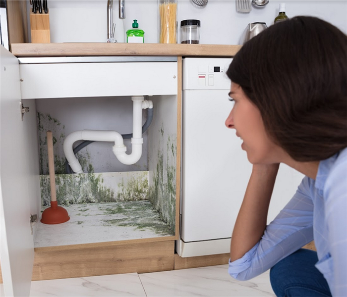 a woman looking into a cabinet under her sink with mold growing by the pipes