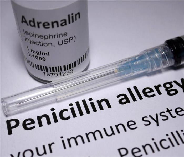 penicillium allergy info and things
