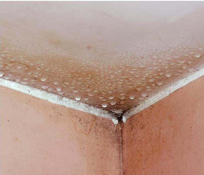 mold growing on water damaged ceiling