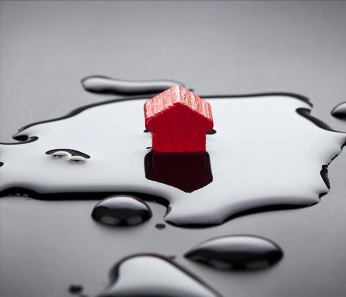monopoly house in a puddle